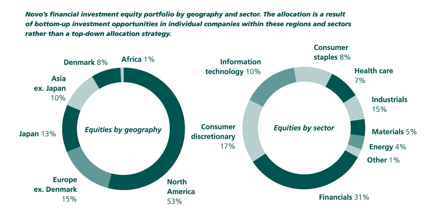 novo as company structure