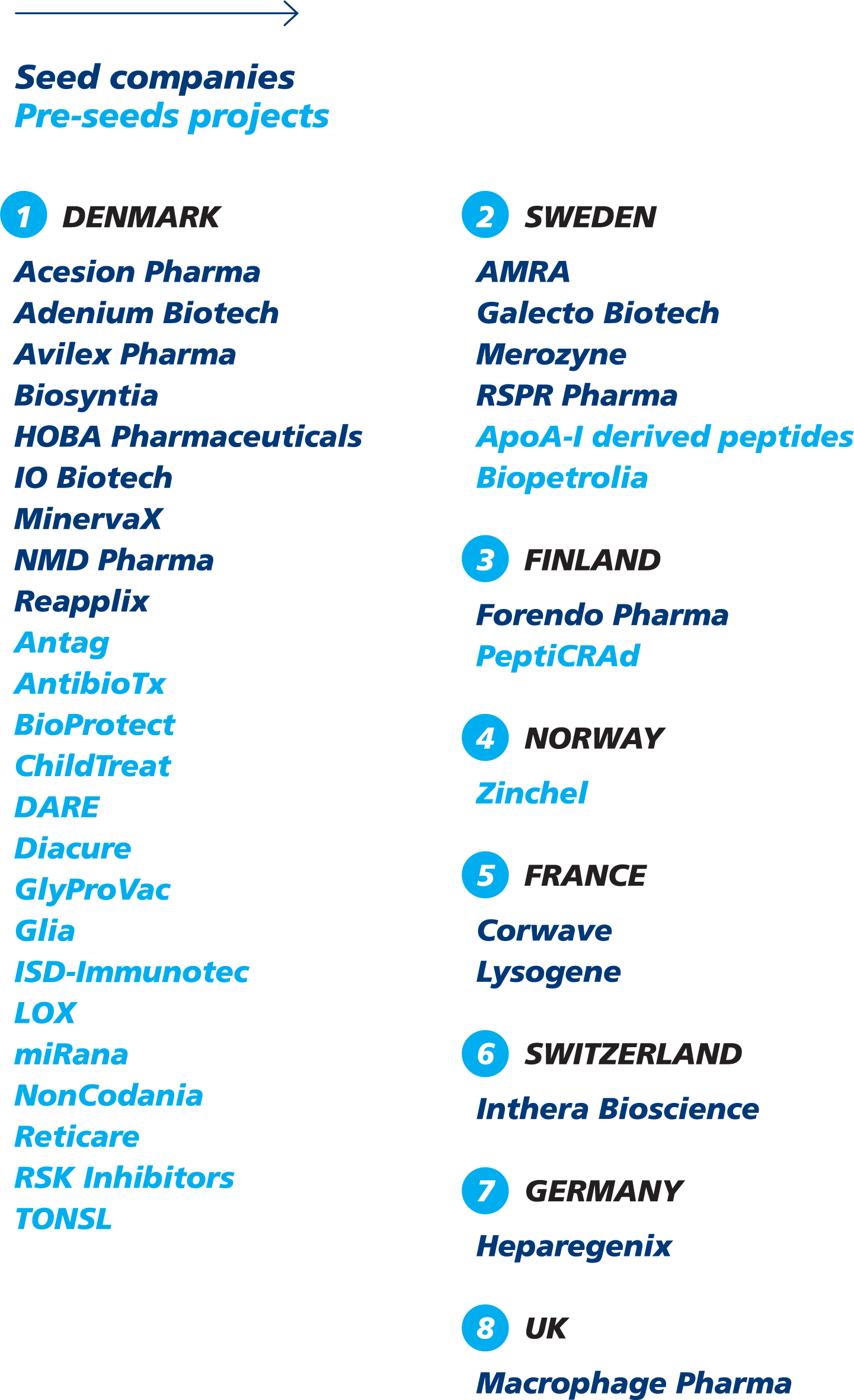 novo as company structure